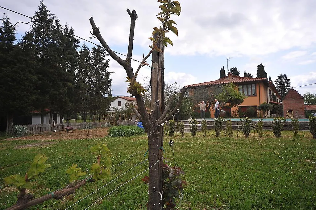Artenatura BeB Terranuova Bracciolini Frühstückspension