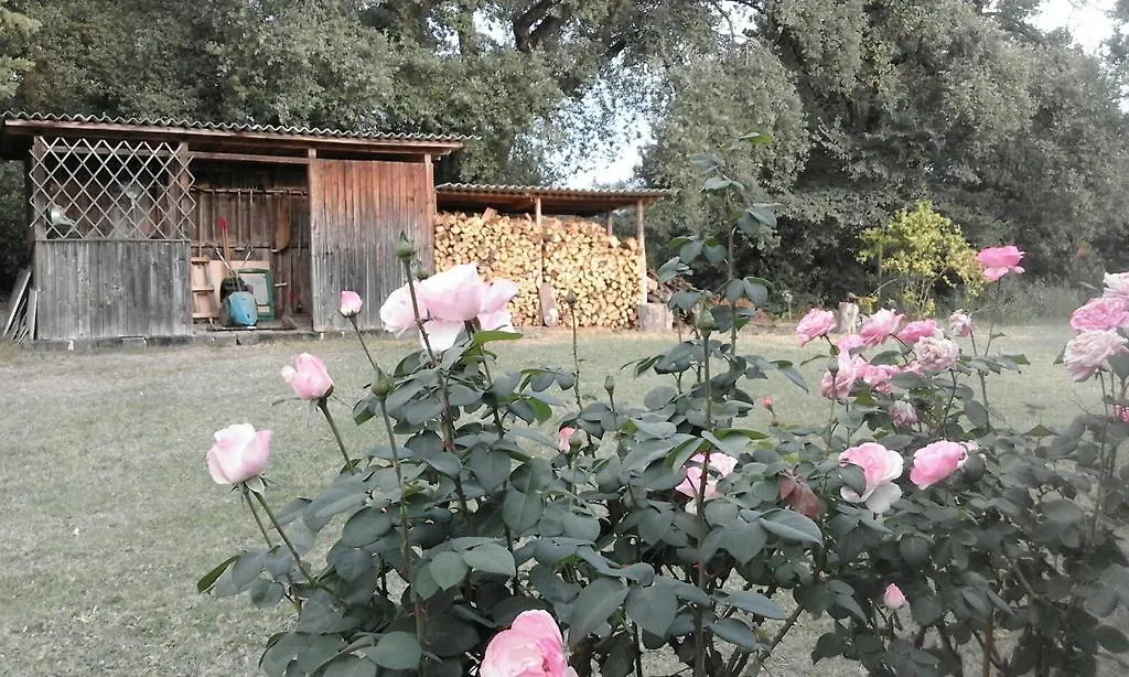 Artenatura Beb Terranuova Bracciolini Bed & Breakfast
