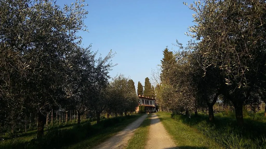 Artenatura Beb Terranuova Bracciolini Italien